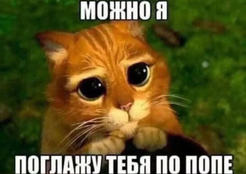 димон :O