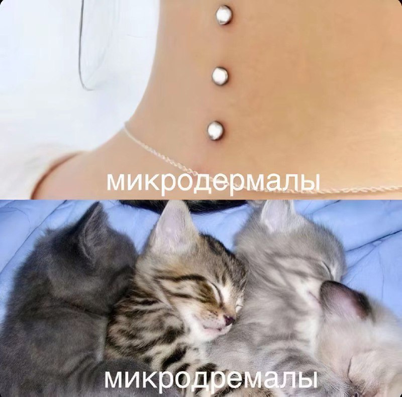 димон :O
