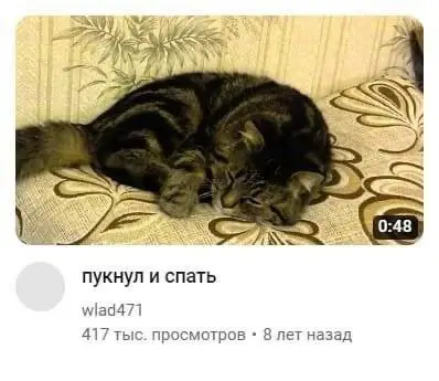 всратые котята