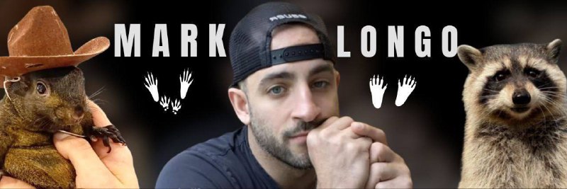 ***🆕*** | **Mark Longo BUY!**