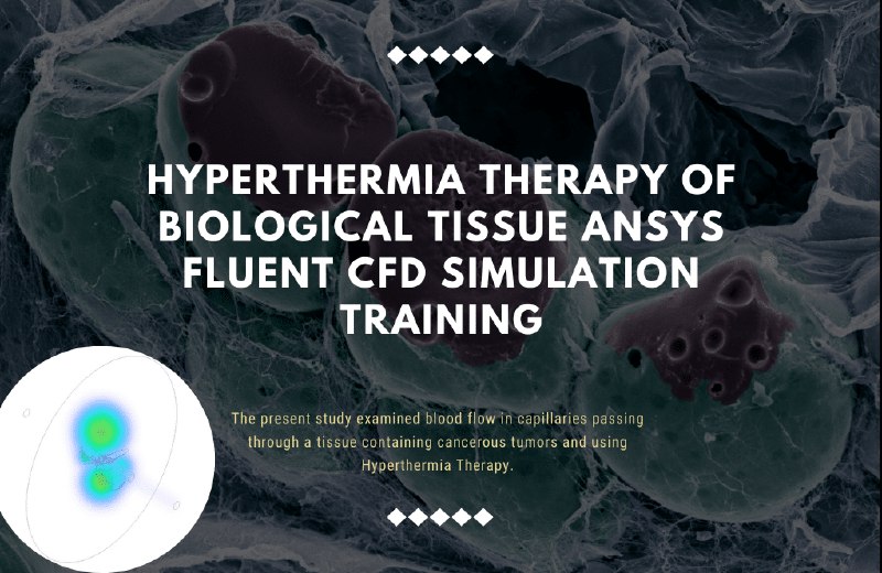 Hyperthermia Therapy of a Cancer Tissue …