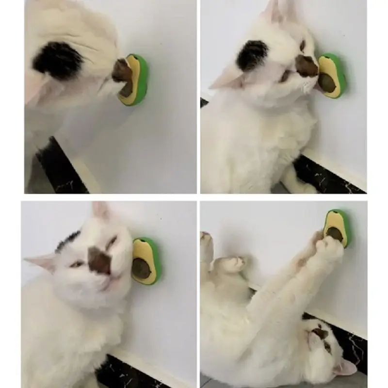 Abacate De Brinquedo Avocado Para Gatos …
