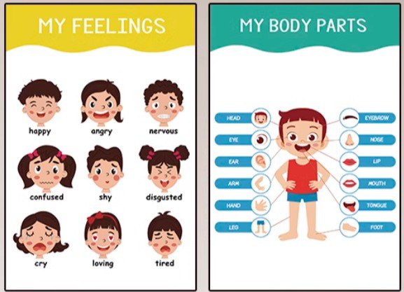 **FEELINGS, BODY PARTS плакаты на английском …