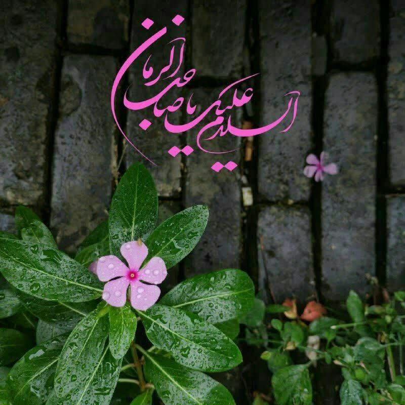 [#جمعه‌های\_مهدوی](?q=%23%D8%AC%D9%85%D8%B9%D9%87%E2%80%8C%D9%87%D8%A7%DB%8C_%D9%85%D9%87%D8%AF%D9%88%DB%8C)
