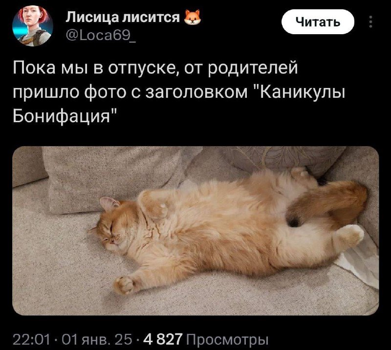 Все мы сейчас немного Бонифаций