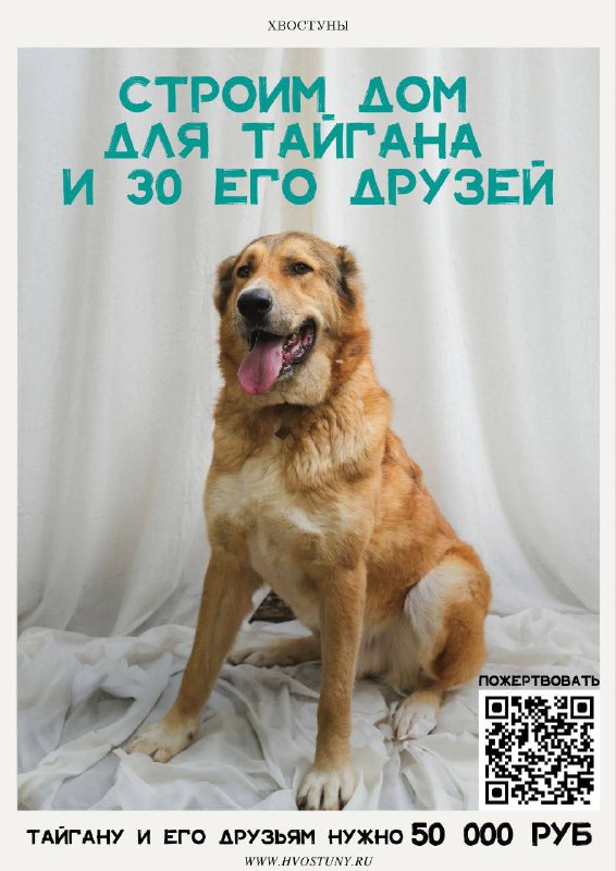 **Строим дом для четвероногих друзей***🐶*****Нашим друзьям …