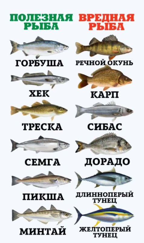 shtpost