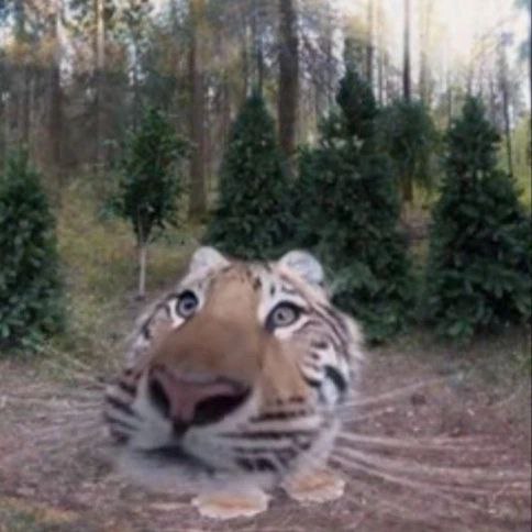 shtpost
