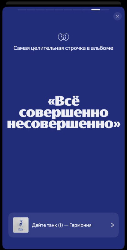 государство шуни⚡️
