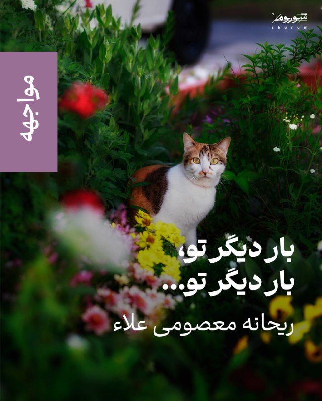 **یادداشت «بار دیگر تو، بار دیگر …