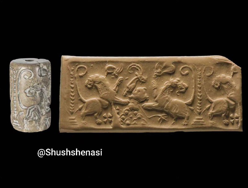 بنیاد شوش شناسی