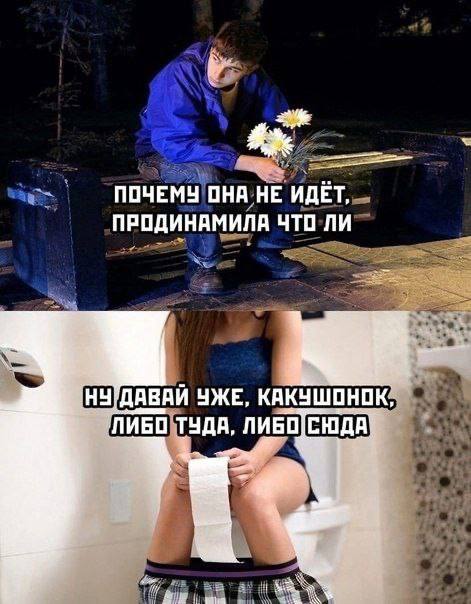 шутки про говно