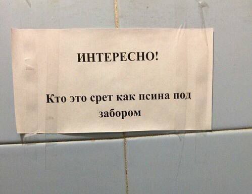 Отряд, кто?