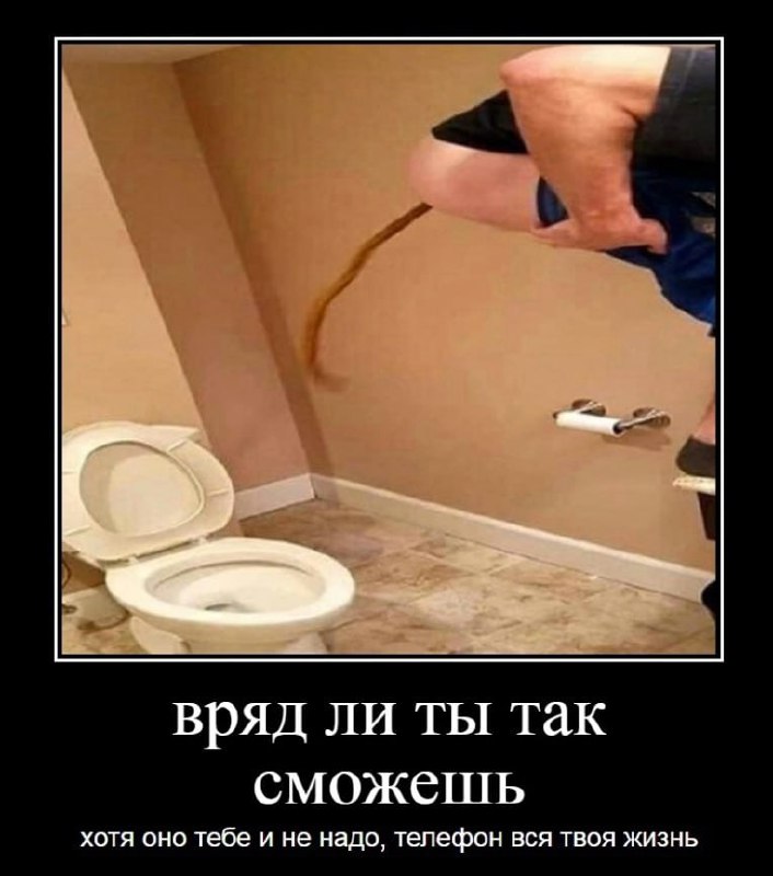 шутки про говно