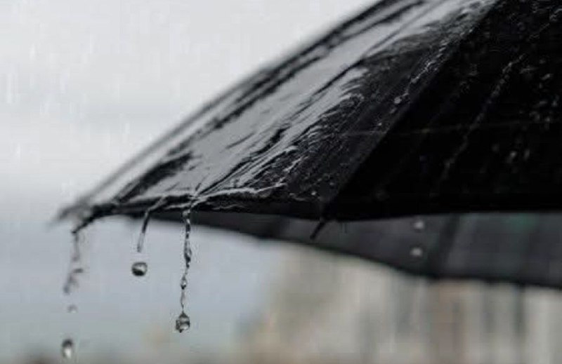 "Ein Regenschirm kann den Regen nicht …