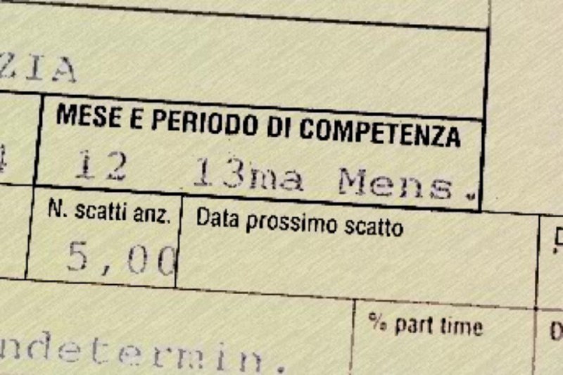 **Statino Dicembre e Tredicesima 2024 - …