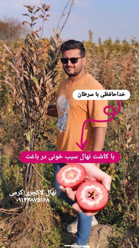 با سیب خونی فاتحه سرطان رو …