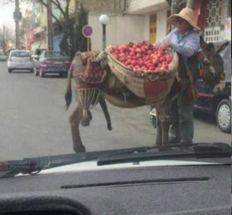 این پیرمرد مهربون به مناسبت شب …