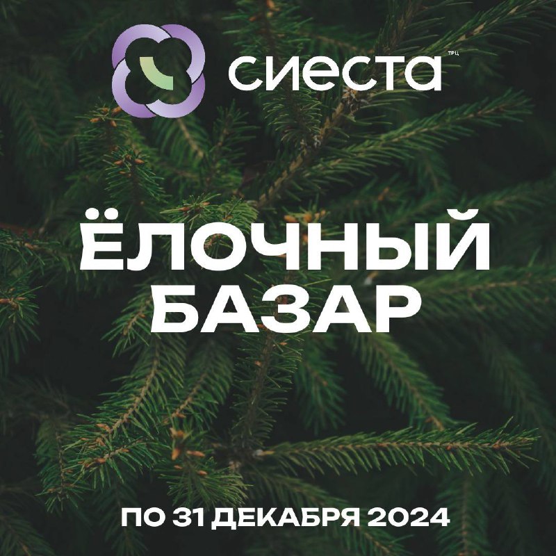 ***🎄***В ТРЦ «Сиеста» работает Ёлочный базар! …