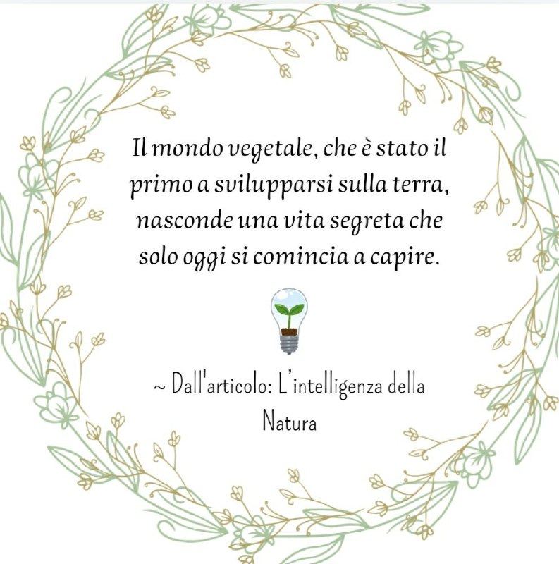 ~ L'intelligenza della Natura ***🌳******💡***