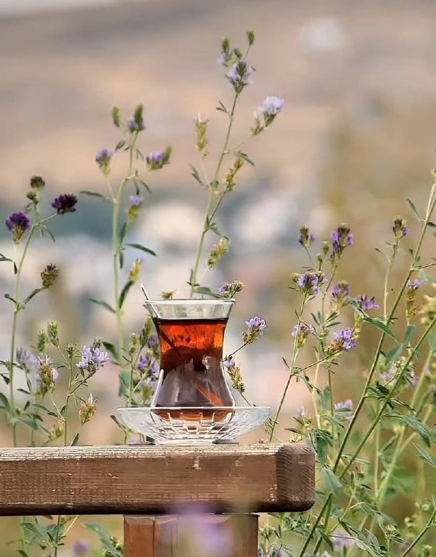 Bugün sana bir gün daha bağışlandı …