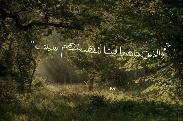 𝑺𝒊𝒍𝒆𝒏𝒕 🕊❤️