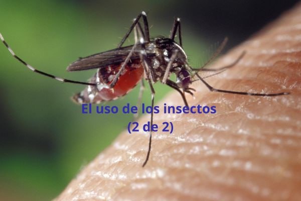 EL USO DE LOS INSECTOS (2 …