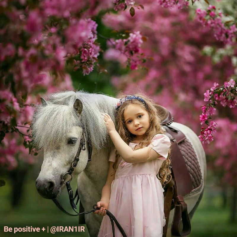 **همه اتفاقات خوب برای