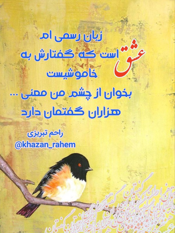**زبان رسمی ام عشق است که …