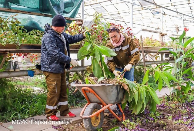 ***🌱***Растения в Детском парке продолжают готовить …