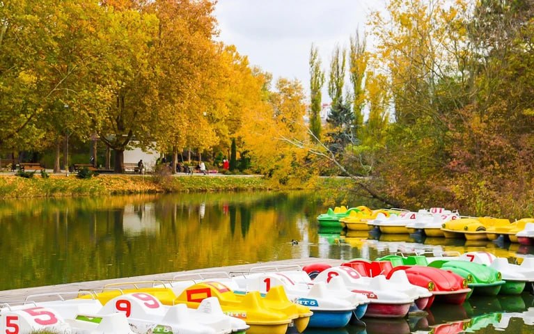 В парке имени Гагарина в Симферополе …