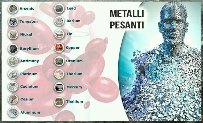 Intossicazione da metalli pesanti ecco cosa …