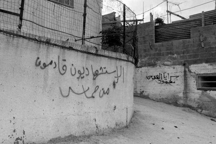 - الاستشهاديّون قادمون من مُخيَّم جنين.