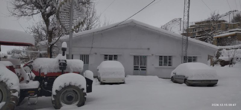 سینی(میامی سابق) آنلاین
