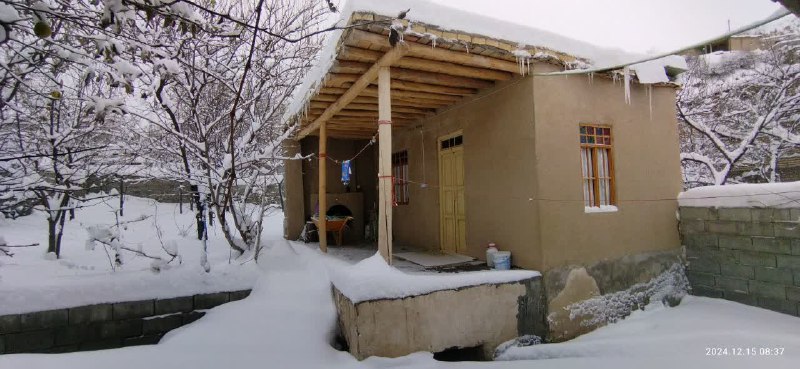 سینی(میامی سابق) آنلاین