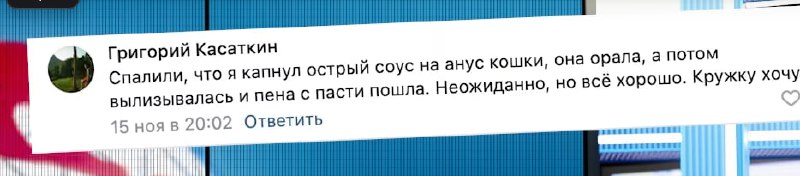ПОЛЫХАЙ ᓚᘏᗢ