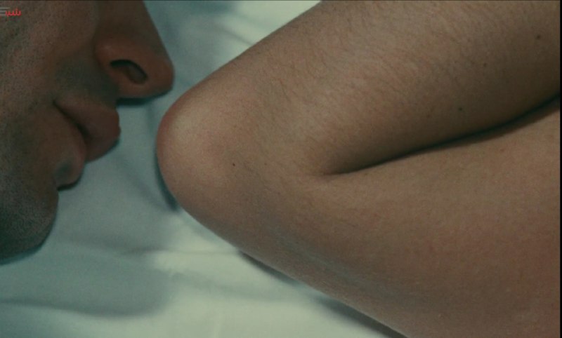 Le Bonheur (1965)