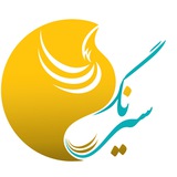 تور شیراز
