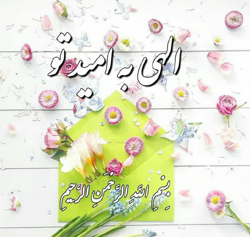 پوشاک بچه گانه سیتی اصفهان