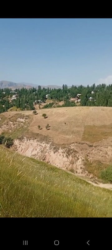 *** Qizg'aldoq yopingan adirga boqib,