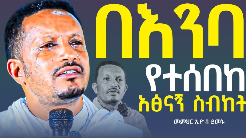 16 - ሚዲያ