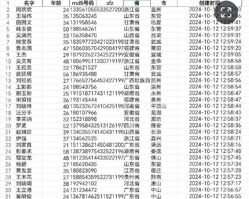 【🔥阿峰大数据总群🔥渗透劫持】