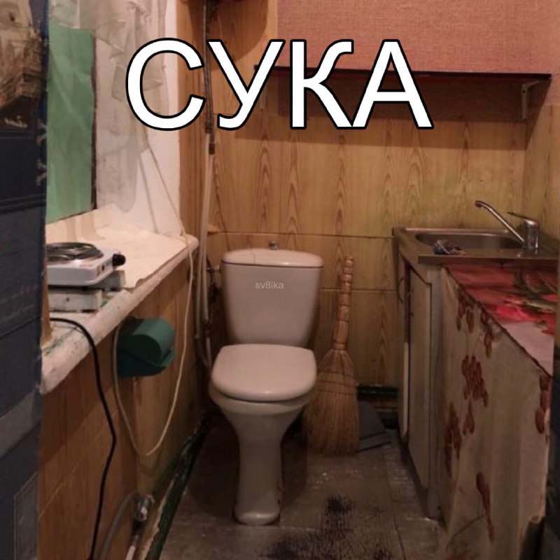 скрипка купити 🎻