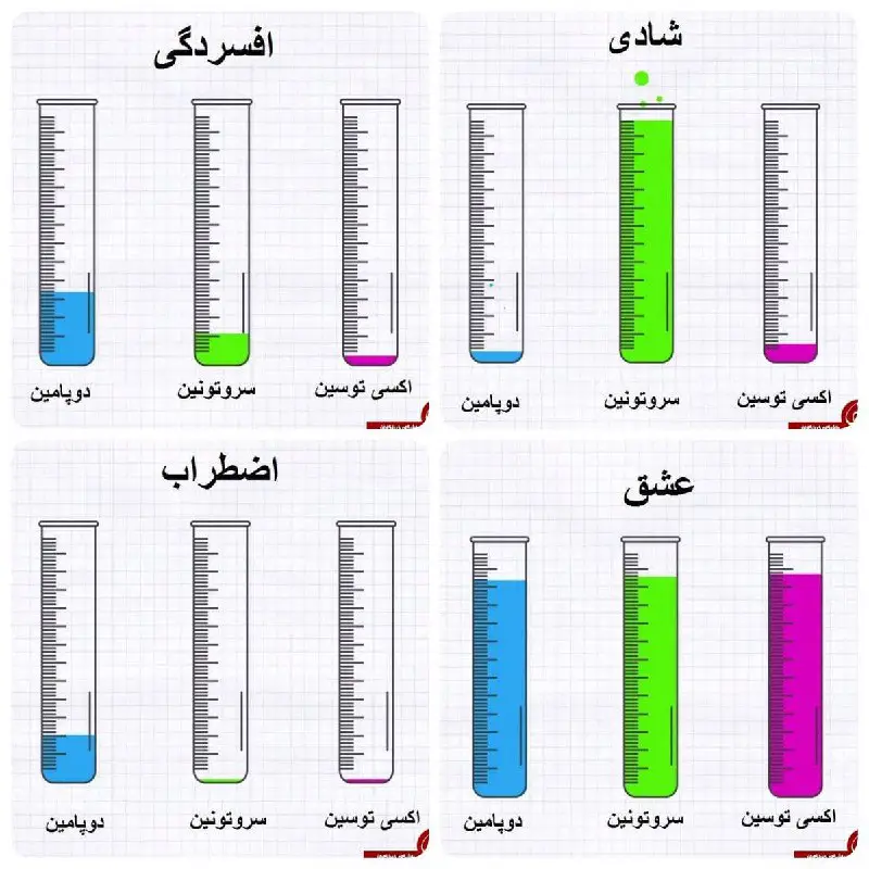 چی هستیم جز برده‌ی هورمون‌ها...