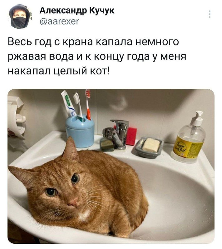 Частные мемы одного лица