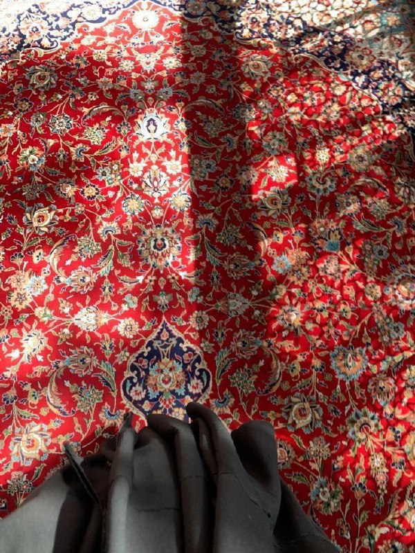 نرجس