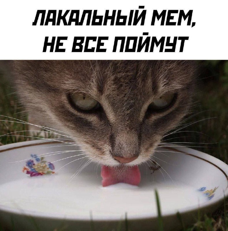 Рабыня Никитич