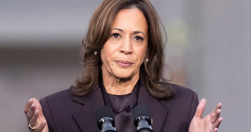 Kamala Harris’ Billion-Dollar Election Campaign Ends …