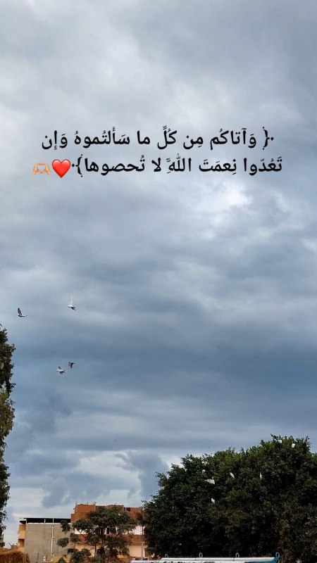 ***❤️***