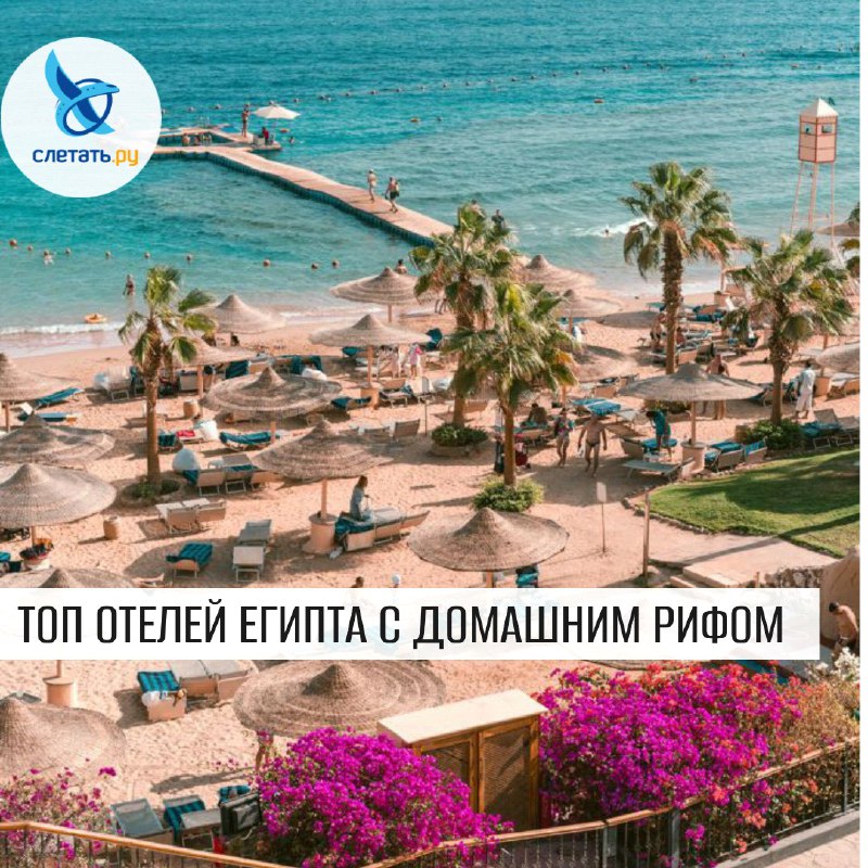 *****🏖*** Топ отелей Египта с домашними …